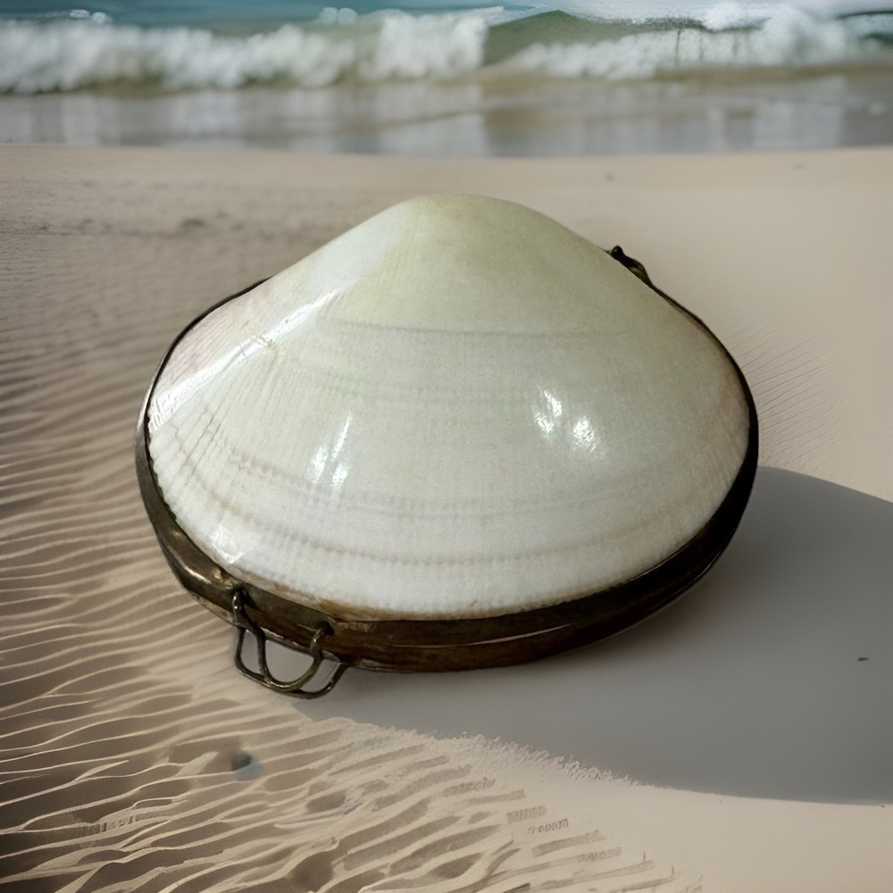 Vintage Polished Seashell Clam Shell Hinged Ring Trinket Pill Box Coin Purse